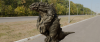 Click to see a Medium sized image